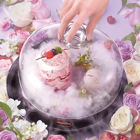 star language wish creative dishes creation